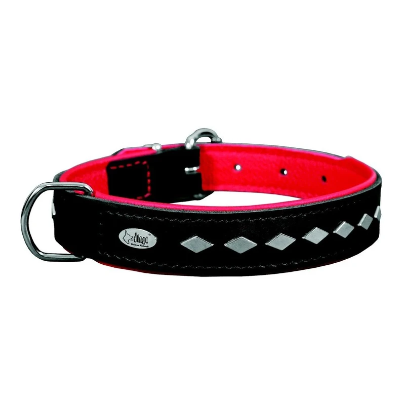 Dingo Dog Collar Made of Exclusive Soft Leather, Decorative and Durable Black with Red Padding 11437