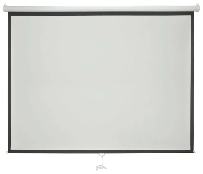 avlink 100-Inch "qtx" Manual Projector Screen