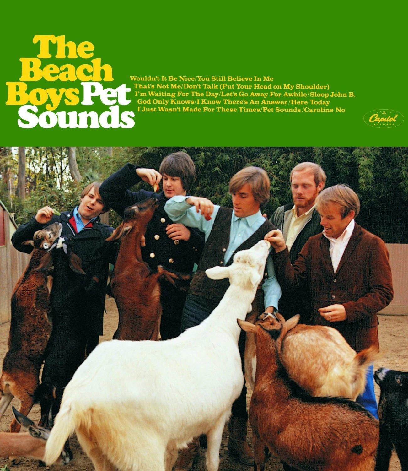 Pet Sounds