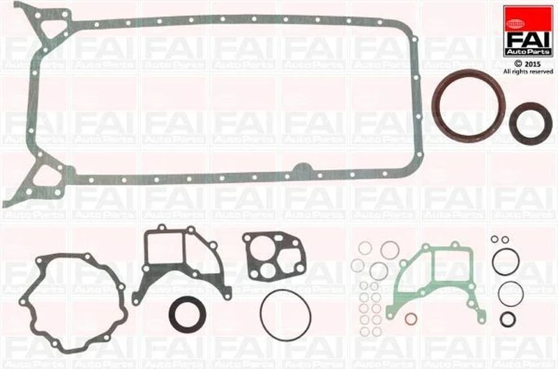 CS495 FAI GASKET CONVERSION SET OE QUALITY
