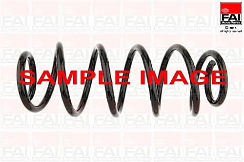 Sp311 Fai Coil Spring Rear Oe Quality