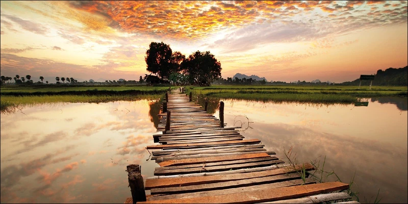 Pro-ART g1553a Mural Giclée 'Colourful View' 30 x 30 cm, multicoloured, 100 x 50 cm - Image 1
