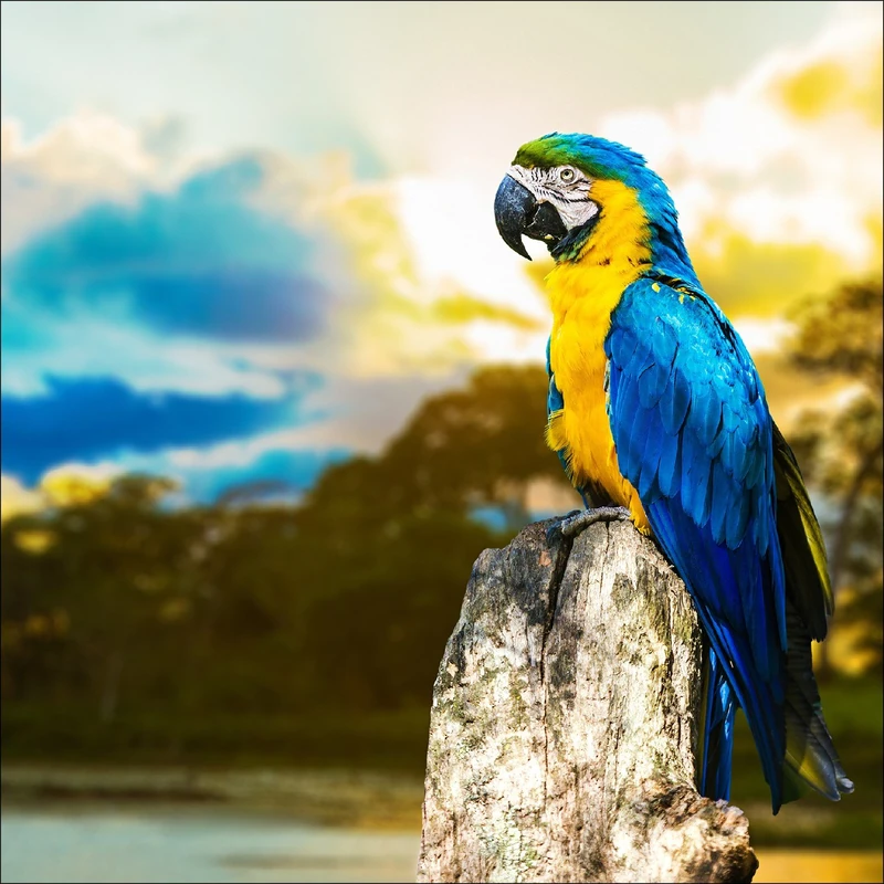 Pro-Art-Bilderpalette Giclee Wall Art, Engineered Wood, Colourful, 70 x 70 cm - Image 1