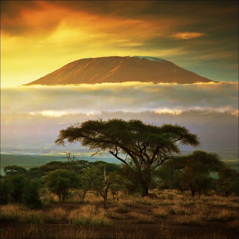 Pro-ART g1672a Mural Giclée 'African Scenery II' 30 x 30 cm, multicoloured, 100 x 100 cm - Image 1