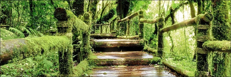 Pro-Art g1715s Giclee Wall Picture 'Mossy Bridge' 90 x 30 cm - Image 1
