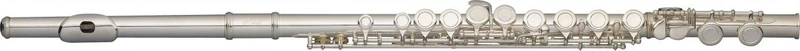Stagg WS-FL111 Split 'E' Flute Outfit with Case