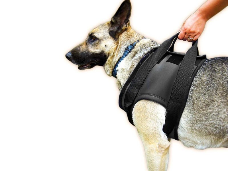 Julius-K9 Rehabilitation Harnesses - Front, Size: S, Chest circumference: 42-61 cm
