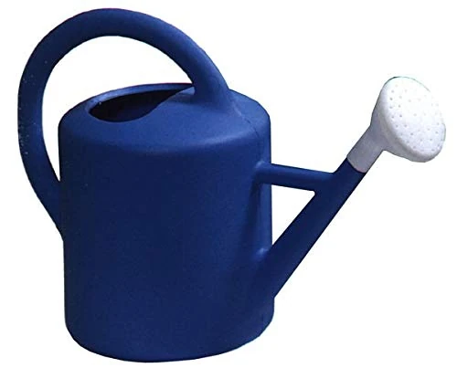 Pascor 12 L Watering Can with Spray Head