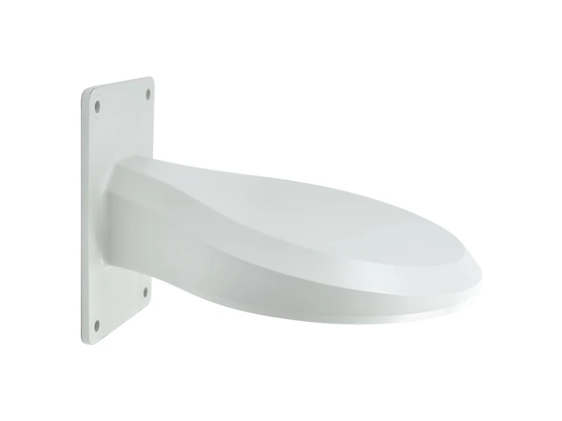 LevelOne CAS - 2314 Wall Mount