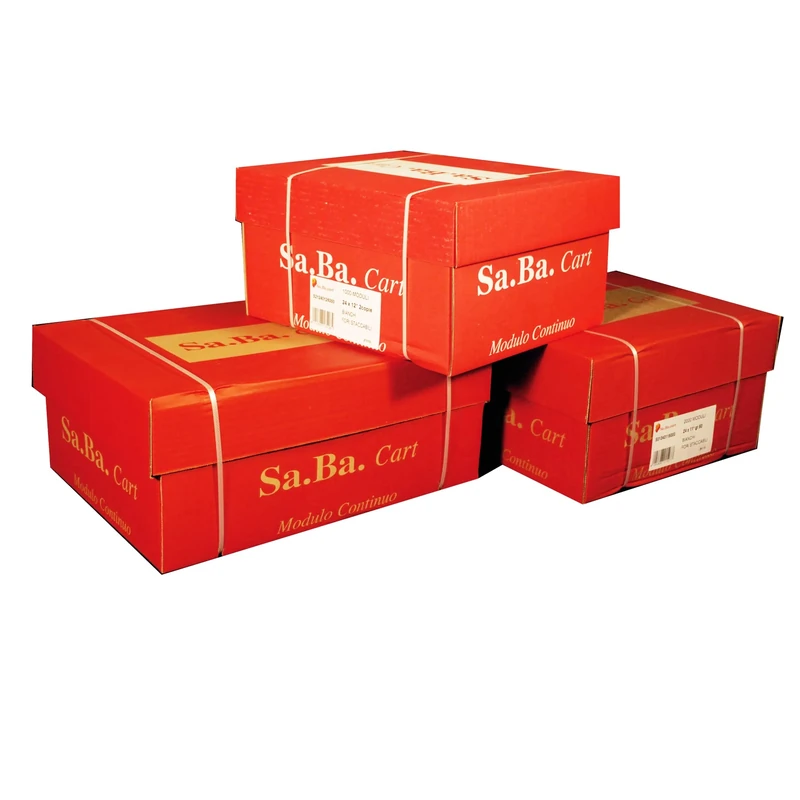 SA.Ba.Cart s01240116000 Continuous Paper, 240 mm x 11 ", 60 G/Qm, White, Pack of 2000 Sheets