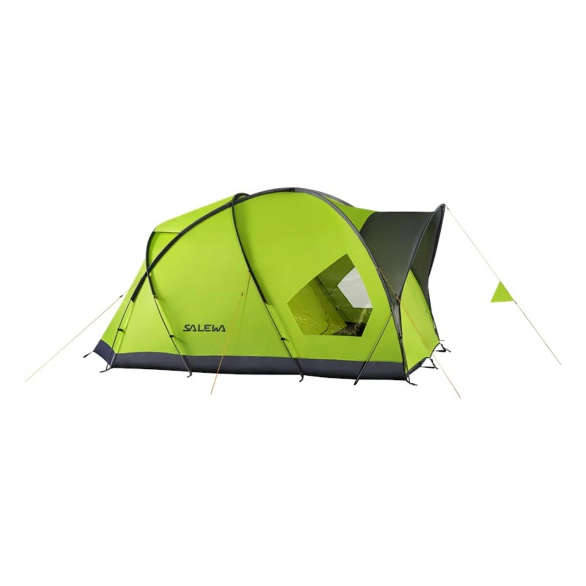 Salewa Alpine Hut Iii Tent, Cactus/Grey, Unisex