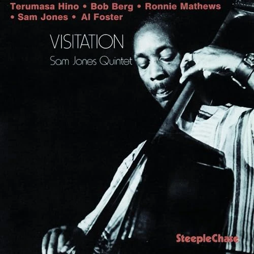 Visitation - 180 grams [VINYL] - Image 1