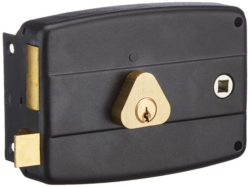 BRICARD 1842 Box Lock Horizontal 2 Entry Cylinder 5 Left Pins Black