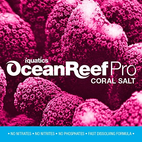 iQuatics Ocean Reef Pro Coral Salt – 20KG Refill | Advanced Synthetic Formula | Fast-Dissolving, Residue-Free | Perfect Element Balance for Reef Aquariums | Enhances Coral Growth & Vibrancy