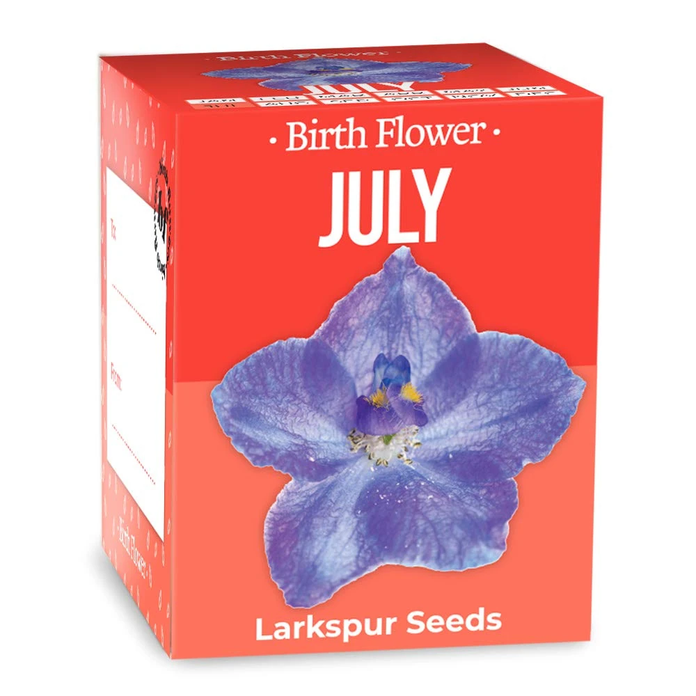 Gift Republic July Birth Flower Grow Kit – Larkspur Seeds + Eco Starter Pot – Grow Your Birth Flower – Thoughtful Gift -Birthday/Anniversary