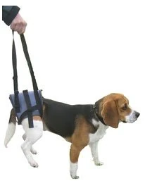 Handy Canis Helping Hand for Dogs - Hind - Medium - Image 1