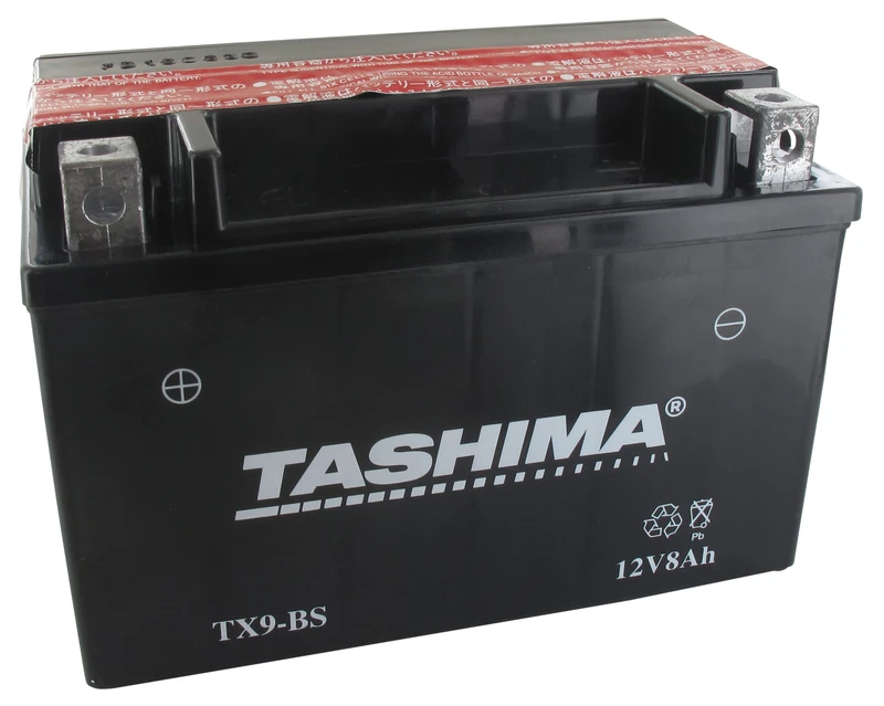 GreenStar 11540 Battery, Black, 15338