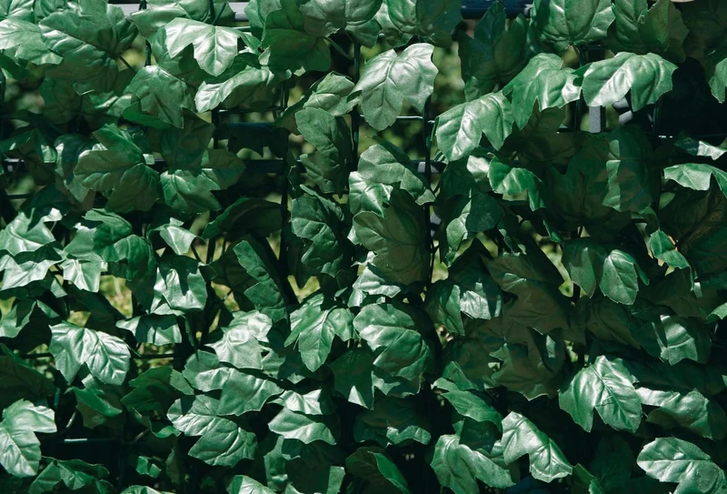 Verdemax 5597 1.5 x 3 m Verdecor Hedge with Leaves Like Ivy