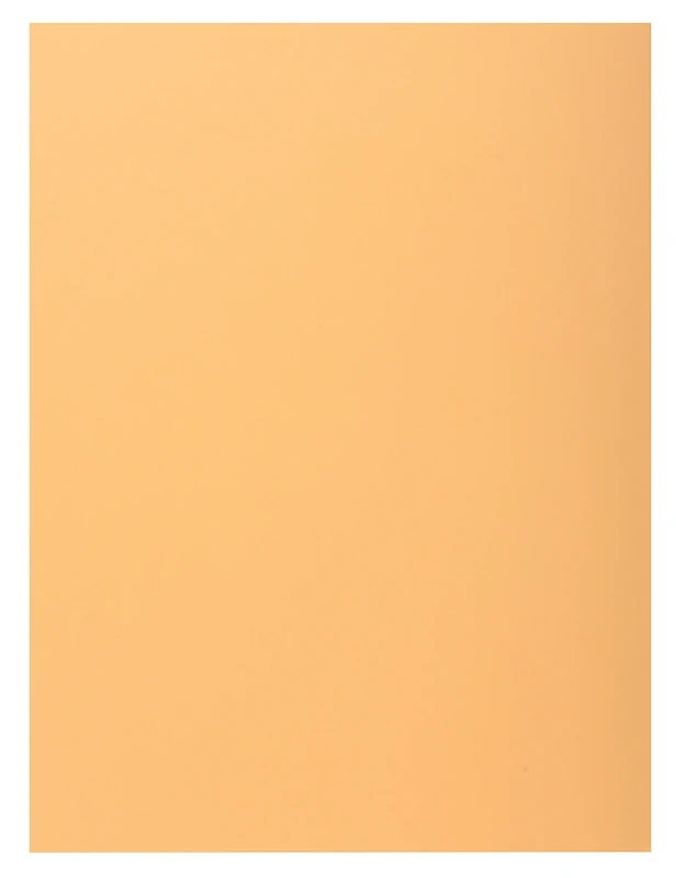 Exacompta - Ref 339002E - Super 210 1-Flap Folders - 240 x 320mm in Size, Suitable for Holding A4 Documents, 210gsm Card, Single Fold Over Flap - Buff (Pack of 50)