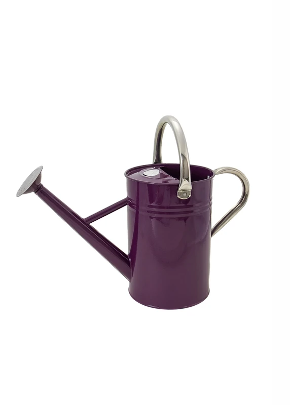 Kent & Stowe 4.5L Metal Watering Can in Deep Violet, Rust-Resistant Galvanised Watering Can with Handle and Detachable Rose, Classic All Year Round Garden Tools Made from Steel