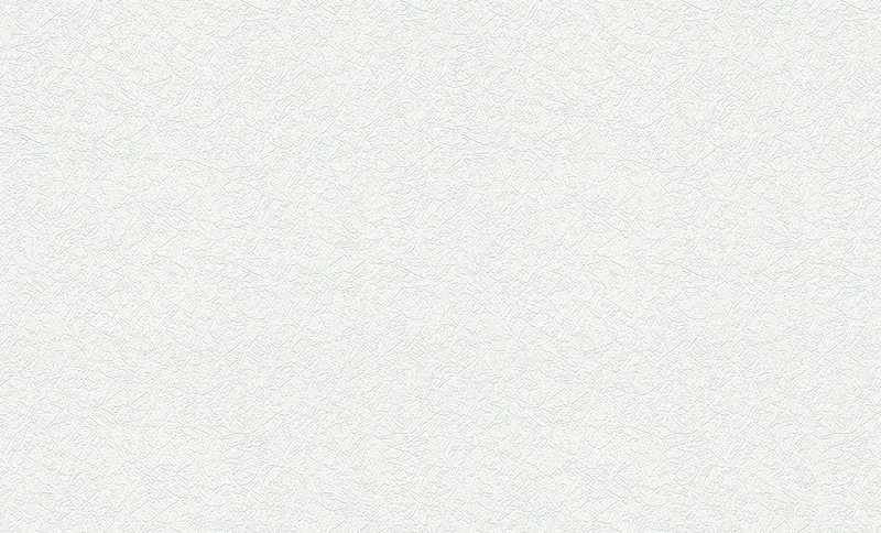 A.S. Création 25 x 1.06 m Made in Germany White Paintable Non-Woven Wallpaper 573513 5735-4950 13