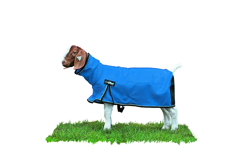 Weaver Leather Livestock ProCool Mesh Goat Blanket with Reflective Piping, Blue, Medium