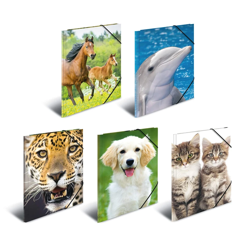 HERMA Elastic Folder Animals, Assorted Colourful Designs, A3, Sturdy Plastic, with Inner Print, Pack of 10