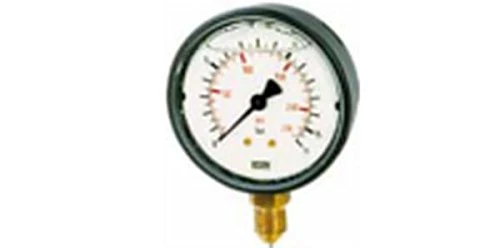 Riegler Stainless Steel Glycerin Gauge 0-600bar G1 / 2 Vert. 100mm