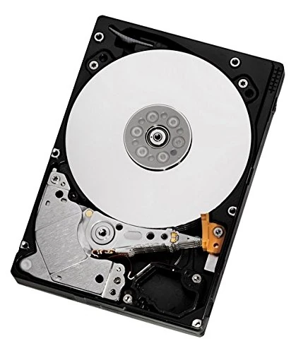 HGST 0A60316-SATA Internal Hard Drive 250 GB-Grey