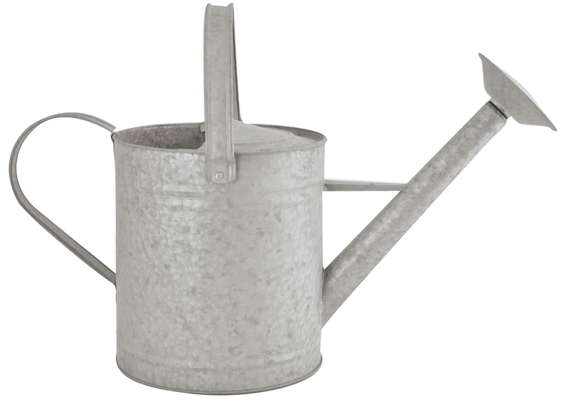 Fallen Fruits OZ46 5 Litre Old Zinc Watering Can, Grey (Zinc)