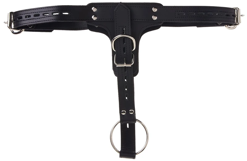 Premium Locking Leather Cock Ring and Anal Plug Harness