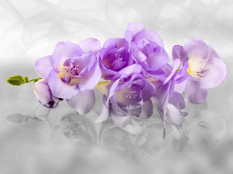AG DESIGN Orchid 3D Giant Wall Poster, Non Woven, Multi-Colour, 360 x 270 cm