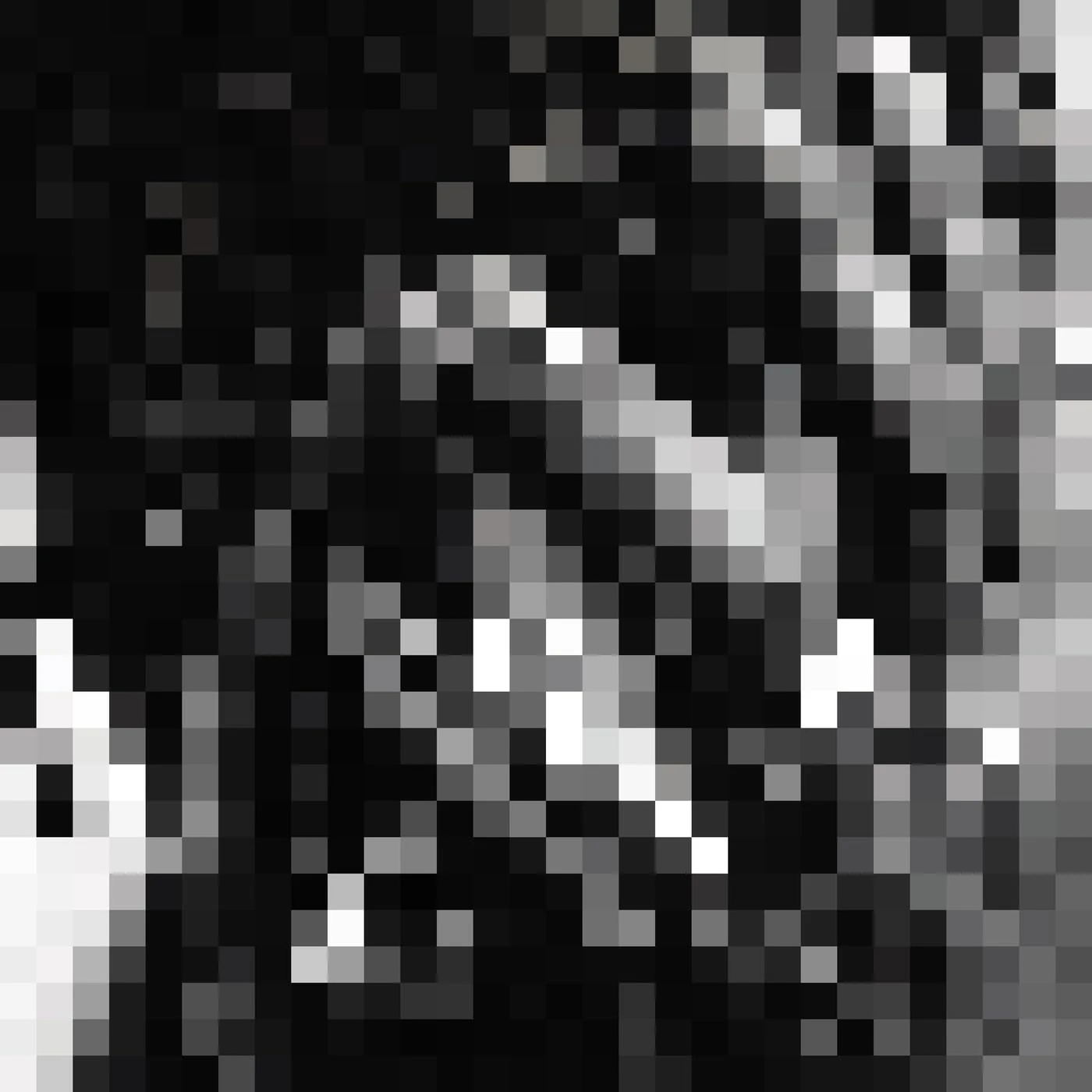 AT.LONG.LAST.A$AP [Explicit]