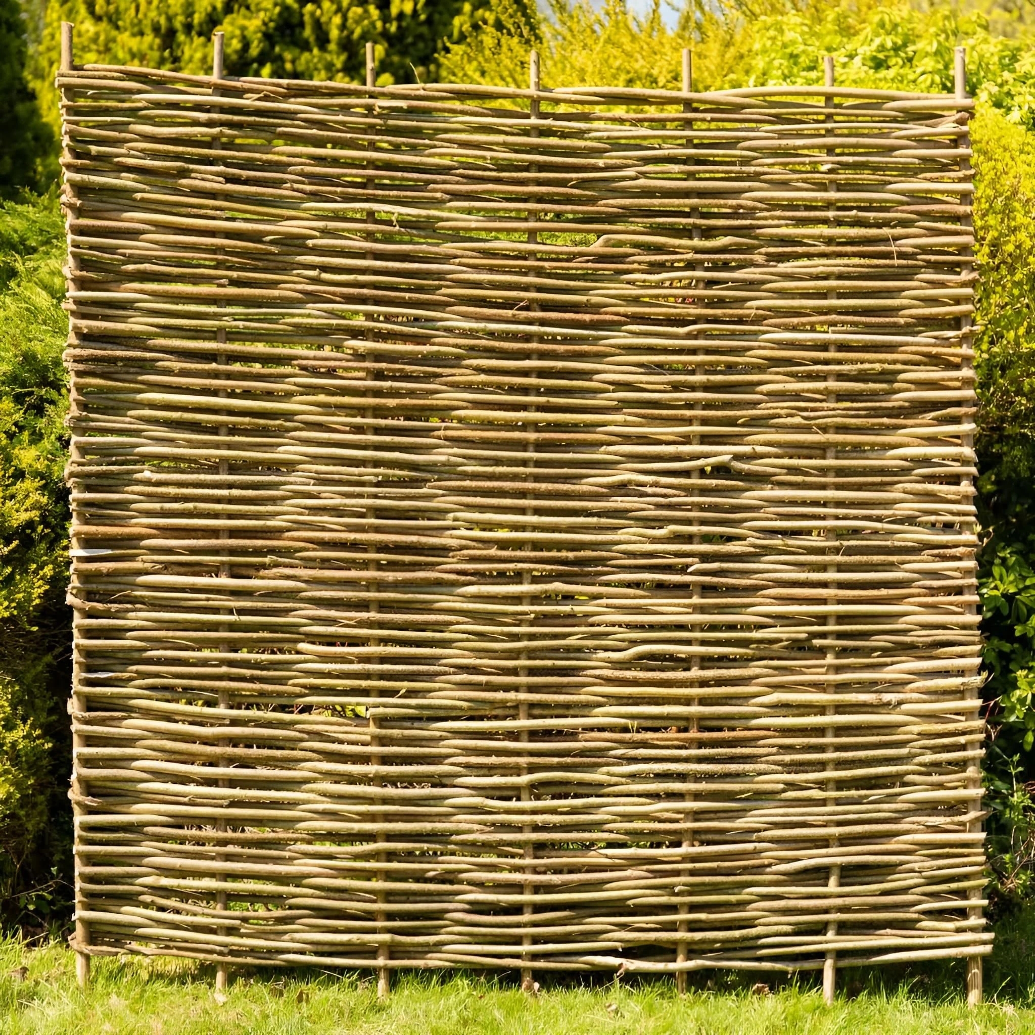 Papillon 5 Pack Premium Hazel Hurdle Garden Fence Panels Wattle Fencing Panel 1.8m x 1.8m (6ft x 6ft)