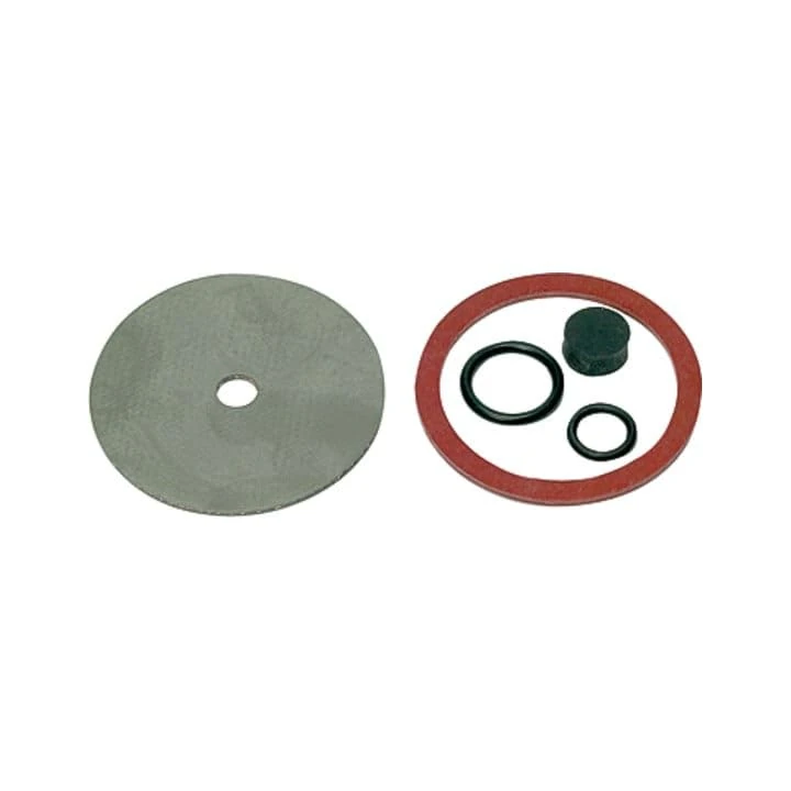 RIEGLER 101450-22.206.4 Wear Parts Set for Pressure Regulator DRV 200, G 1 1/4, 1 Piece