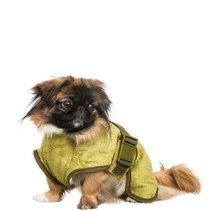 WetDog absorbent bath robe for wet dogs by Siccaro, 100% absorbent dogs bamboo/viscose fibre robe. Classic Bamboo Small.