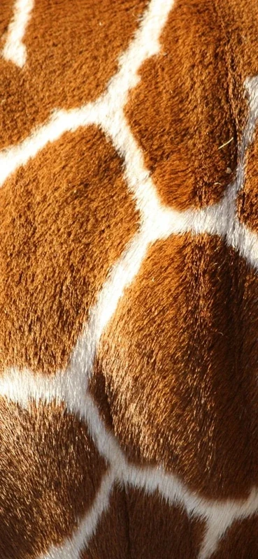 PeelitStickit Animal Skin, Beautiful Nature Wall Murals, ID-3319, vinyl