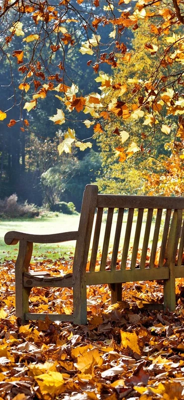 PeelitStickit Autumn Park Nature Wallpaper, Wall Mural ID-001, vinyl - Image 1