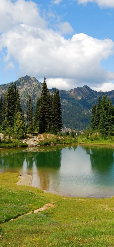 PeelitStickit, Beautiful Landscapes Wall Murals, ID-008, vinyl