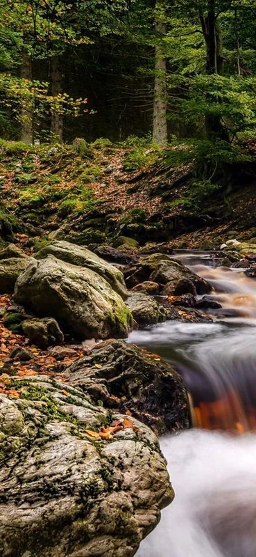 PeelitStickit, Beautiful Landscapes Wall Murals, ID-012, vinyl