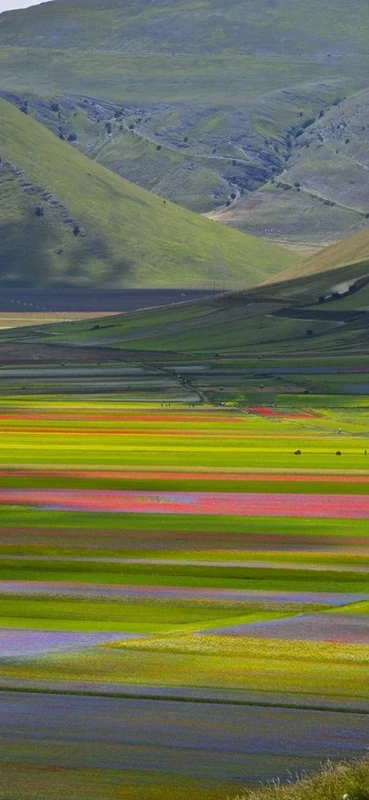 PeelitStickit, Beautiful Landscapes Wall Murals, ID-029, vinyl