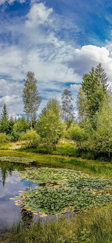 PeelitStickit, Beautiful Landscapes Wall Murals, ID-017, vinyl