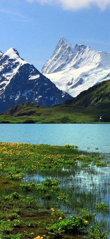 PeelitStickit, Beautiful Landscapes Wall Murals, ID-038, vinyl