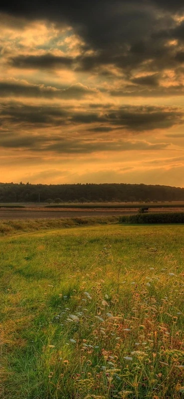 PeelitStickit, Beautiful Landscapes Wall Murals, ID-044, vinyl