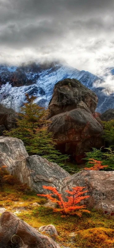 PeelitStickit, Beautiful Landscapes Wall Murals, ID-041, vinyl