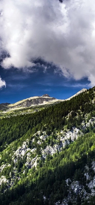 PeelitStickit, Beautiful Landscapes Wall Murals, ID-059, vinyl