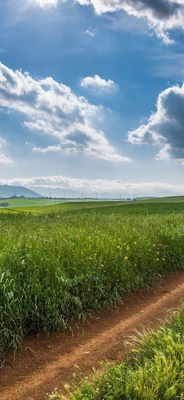 PeelitStickit, Beautiful Landscapes Wall Murals, ID-056, vinyl