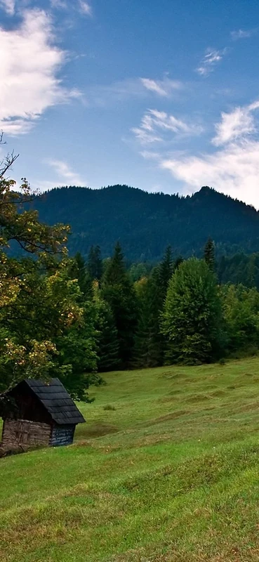 PeelitStickit, Beautiful Landscapes Wall Murals, ID-053, vinyl