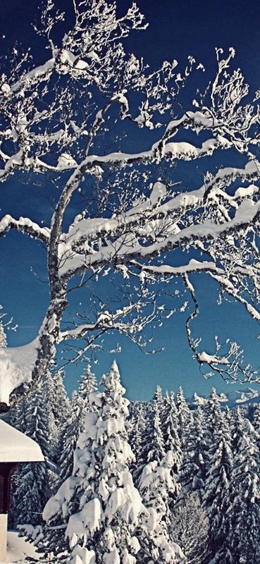 PeelitStickit, Beautiful Landscapes Wall Murals, ID-064, vinyl