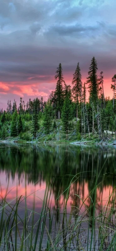 PeelitStickit, Beautiful Landscapes Wall Murals, ID-081, vinyl